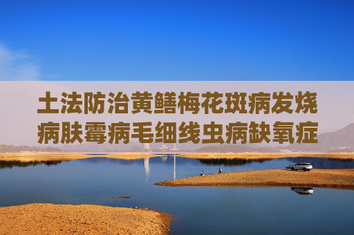 土法防治黄鳝梅花斑病发烧病肤霉病毛细线虫病缺氧症效果好