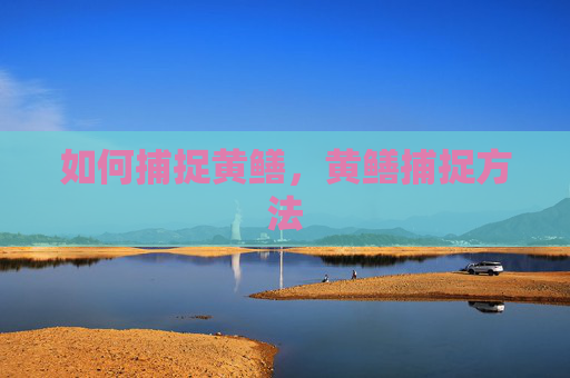 如何捕捉黄鳝,黄鳝捕捉方法