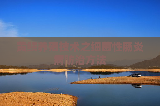黄鳝养殖技术之细菌性肠炎病防治方法