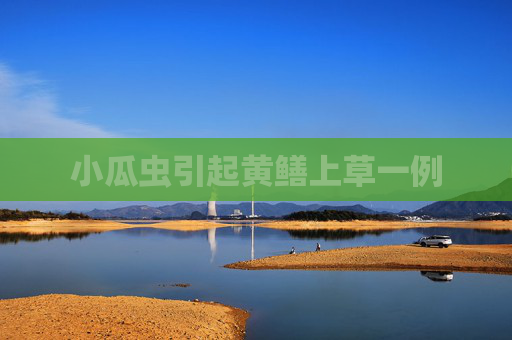 小瓜虫引起黄鳝上草一例