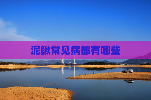 泥鳅常见病都有哪些 泥鳅常见病都有哪些