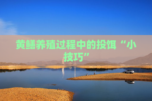 黄鳝养殖过程中的投饵“小技巧”