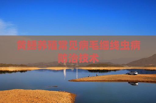 黄鳝养殖常见病毛细线虫病防治技术