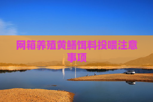 网箱养殖黄鳝饵料投喂注意事项