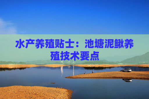 水产养殖贴士：池塘泥鳅养殖技术要点