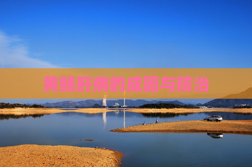 黄鳝肝病的成因与防治