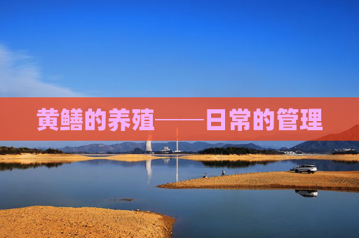 黄鳝的养殖──日常的管理