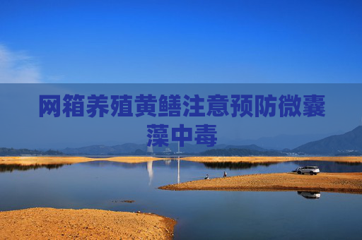 网箱养殖黄鳝注意预防微囊藻中毒