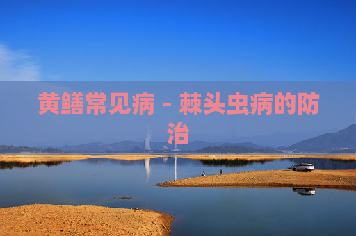 黄鳝常见病－棘头虫病的防治