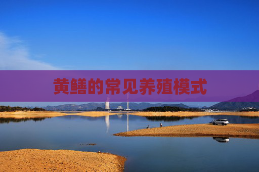 黄鳝的常见养殖模式