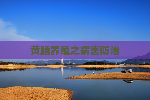 黄鳝养殖之病害防治