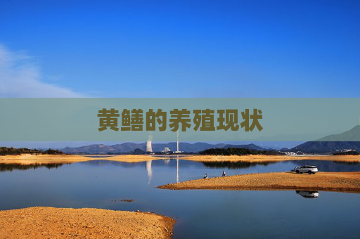 黄鳝的养殖现状