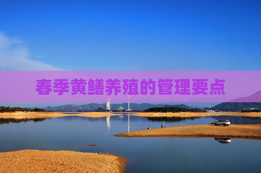 春季黄鳝养殖的管理要点