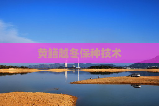 黄鳝越冬保种技术