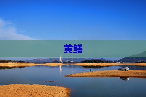 黄鳝