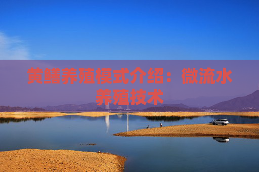 黄鳝养殖模式介绍：微流水养殖技术