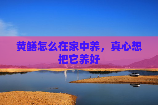 黄鳝怎么在家中养,真心想把它养好 黄鳝怎么在家中养,真心想把它养好