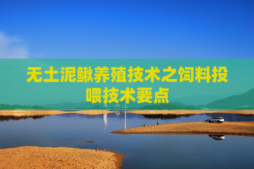 无土泥鳅养殖技术之饲料投喂技术要点