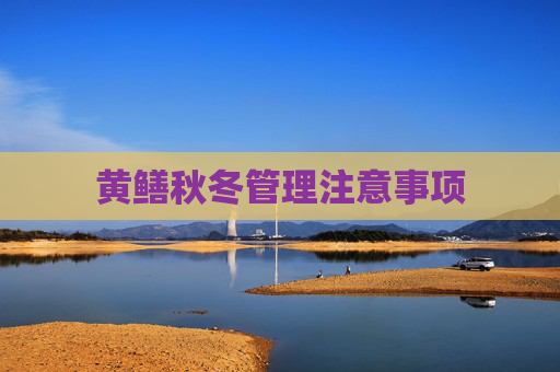 黄鳝秋冬管理注意事项