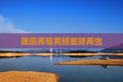 藕田养殖黄鳝重防两虫