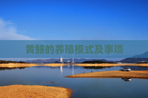 黄鳝的养殖模式及事项