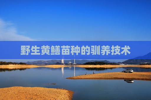 野生黄鳝苗种的驯养技术
