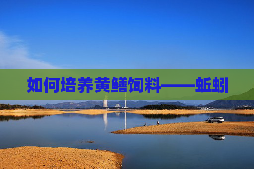如何培养黄鳝饲料——蚯蚓