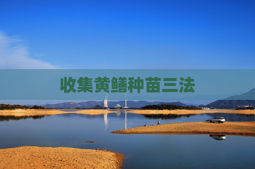收集黄鳝种苗三法