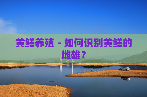 黄鳝养殖－如何识别黄鳝的雌雄？