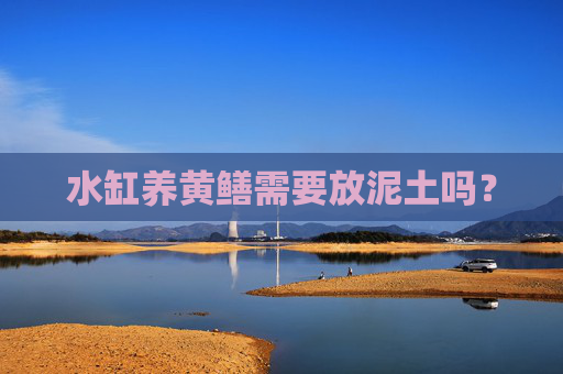 水缸养黄鳝需要放泥土吗?