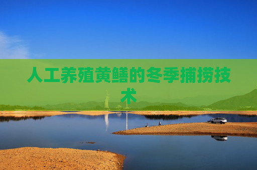 人工养殖黄鳝的冬季捕捞技术