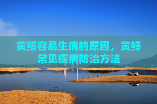 黄鳝容易生病的原因，黄鳝常见疾病防治方法