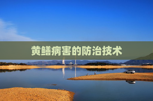 黄鳝病害的防治技术