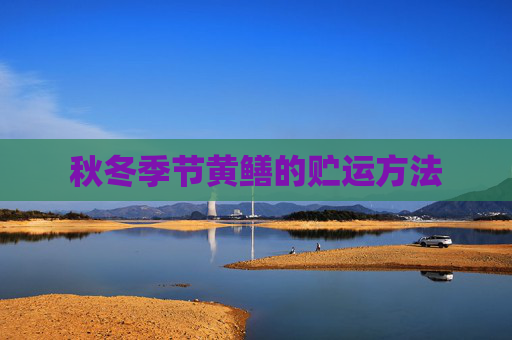 秋冬季节黄鳝的贮运方法