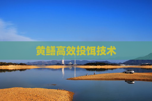 黄鳝高效投饵技术