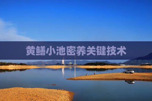 黄鳝小池密养关键技术
