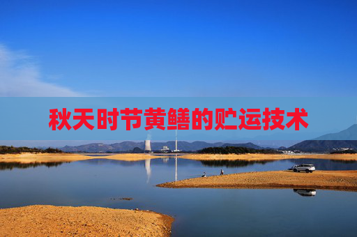 秋天时节黄鳝的贮运技术