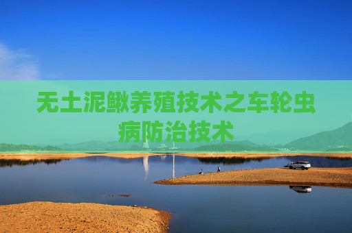 无土泥鳅养殖技术之车轮虫病防治技术