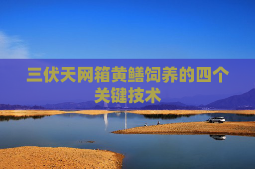 三伏天网箱黄鳝饲养的四个关键技术
