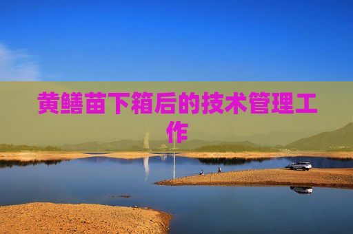 黄鳝苗下箱后的技术管理工作