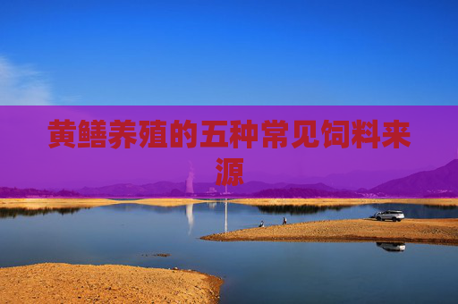 黄鳝养殖的五种常见饲料来源