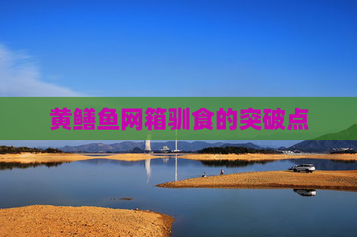黄鳝鱼网箱驯食的突破点