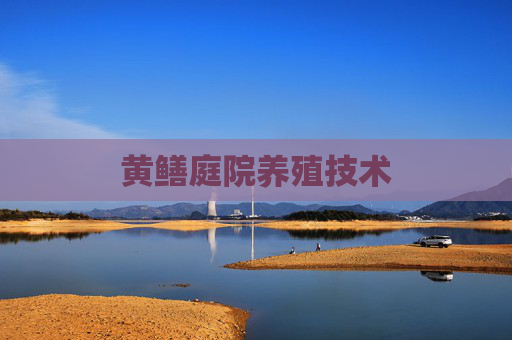 黄鳝庭院养殖技术