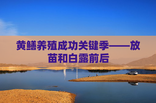 黄鳝养殖成功关键季——放苗和白露前后