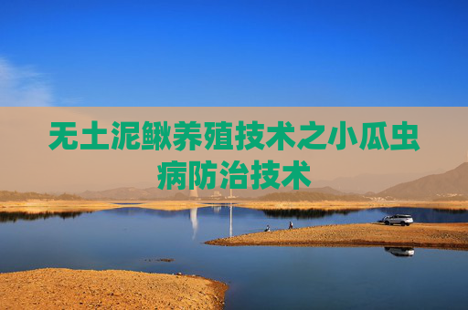 无土泥鳅养殖技术之小瓜虫病防治技术