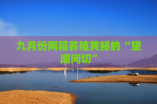 九月份网箱养殖黄鳝的“望闻问切”