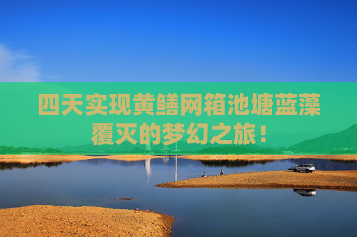 四天实现黄鳝网箱池塘蓝藻覆灭的梦幻之旅！