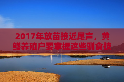 2017年放苗接近尾声，黄鳝养殖户要掌握这些驯食技术要点