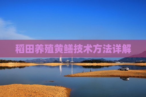 稻田养殖黄鳝技术方法详解