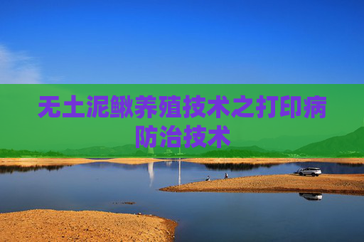 无土泥鳅养殖技术之打印病防治技术